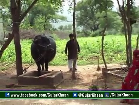 VID-20160307-WA0006.mp4