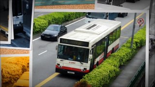 [FAREWELL] SMRT Buses Scania L113CRL ELBO