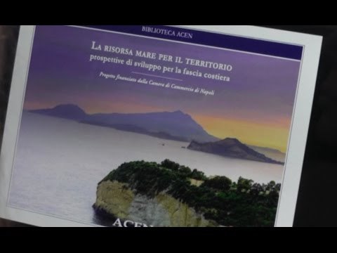 Napoli - Acen: Mare e portualità opportunità di sviluppo (07.03.16)