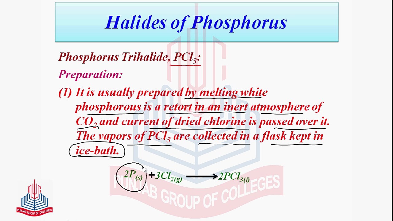 Halides of Phosphorus & Properties of Phosphorus Trichloride