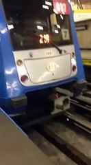 Ecco un vero eroe. Ferma il treno per salvare questo cucciolo.