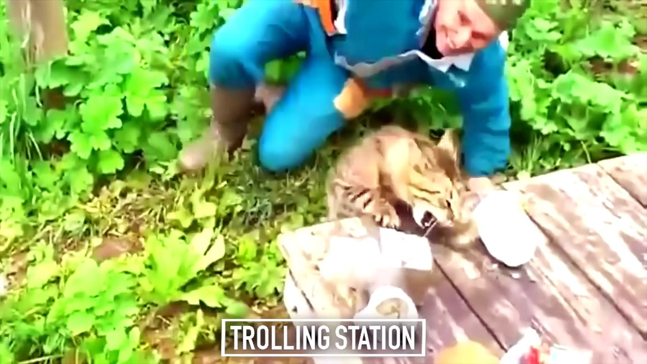 Funny Videos ★ Best Funny Fail Compilation ★ Funny Videos 2016