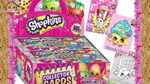 Shopkins Season 3 Fashion Boutique Mode Ice Cream Truck Playset Candy Collectors Card Box