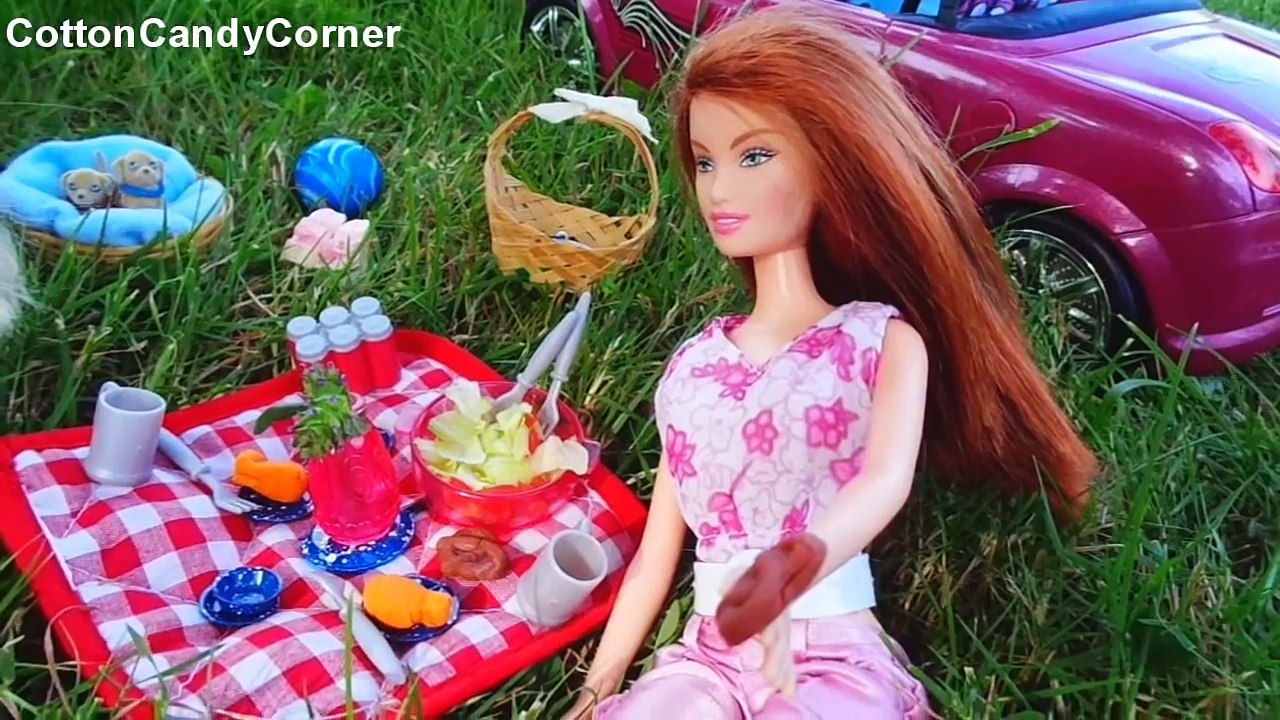 Barbie goes on a Picnic