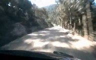 Rallye du Mexique: Sébastien Ogier frôle la catastrophe en évitant une vache et son veau