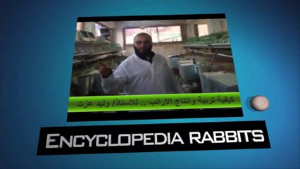 تحصين الارانب  وتجهيزها للعمل