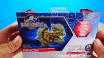 Box of Dinosaurs Toys Jurassic World T Rex CottonCandyCorner