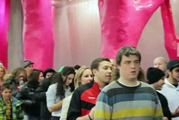 Lawyer For Traffic Violation in Montreal - Ticket911.ca