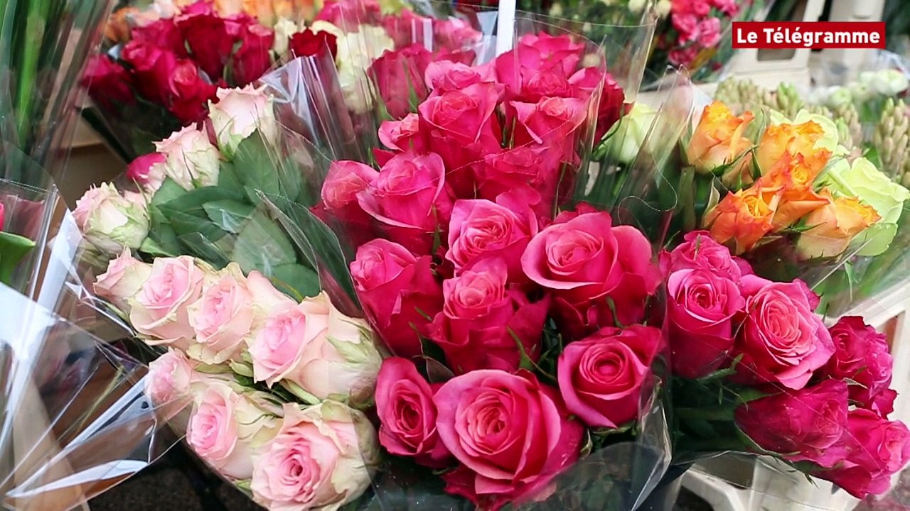 Paimpol. La Journée des femmes vue du marché