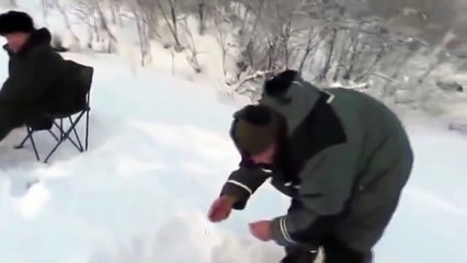 Лиса пришла в гости к рыбакам, хитрая рыжая плутовка видео