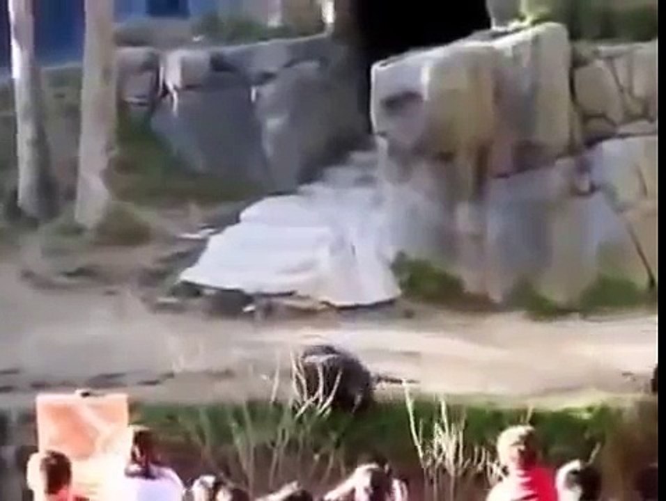 Обезьяны устроили жуткую драку в зоопарке