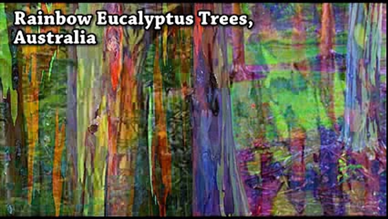 200  Amazing things in just 10 mins