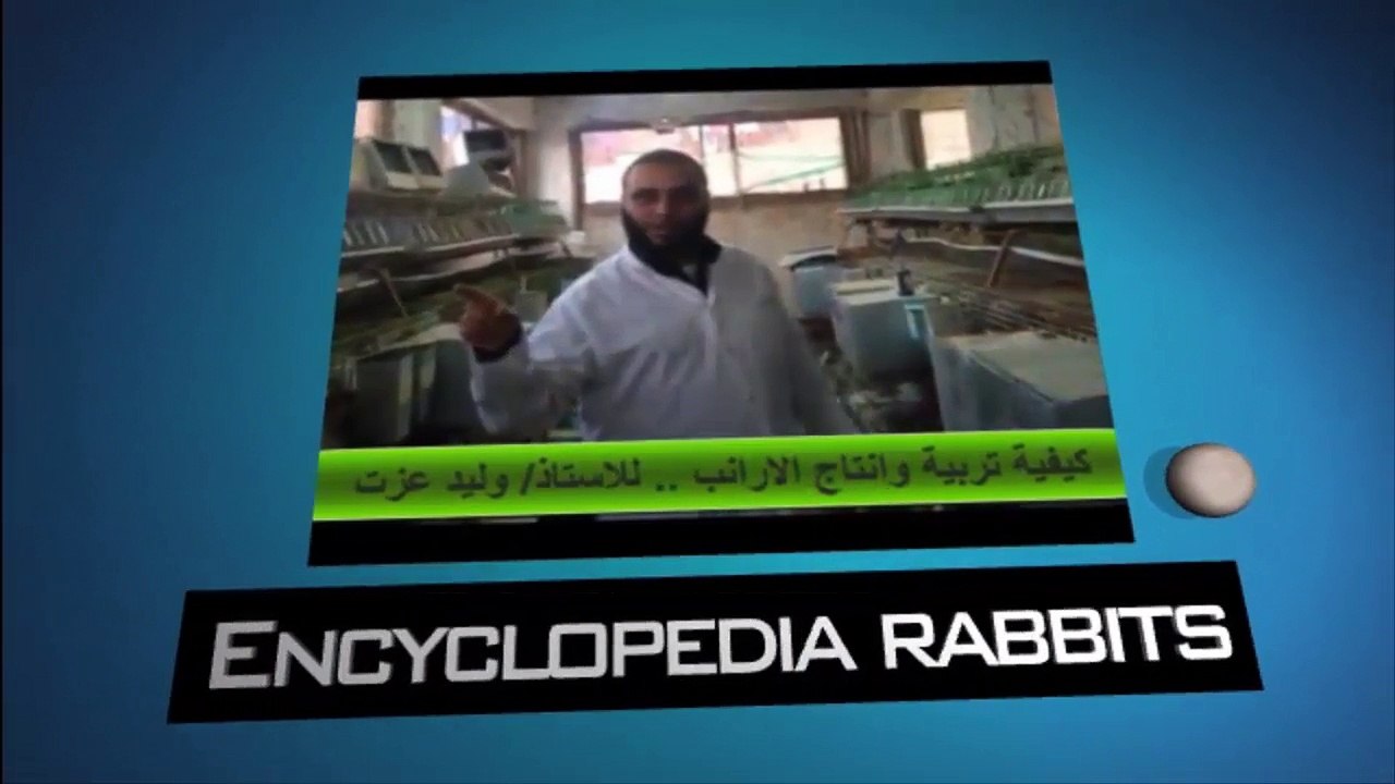 اعداد انثى الارانب للولادة ومتابعة نشاطها