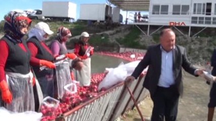 Osmaniye - Derede Çalışan Turp İşçisi Kadınlara Kutlama