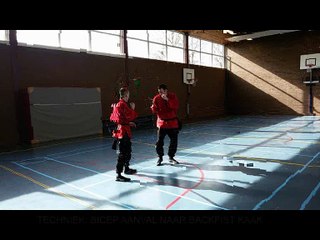 Apeldoorn Krav Maga based zelfverdediging door Patrick van Steen