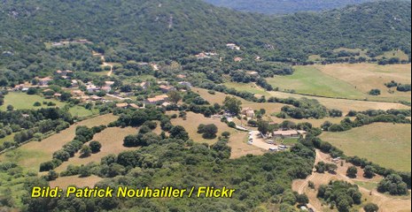 Reise TV Vorgestellt Figari - Korsika