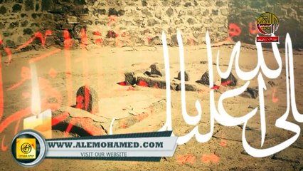 Log Kitne Badal Gaye Baba Ayyam-e-Fatima Nohay 2016-17 by Shabbar Mustafa HD