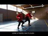 Apeldoorn Kungfu, 