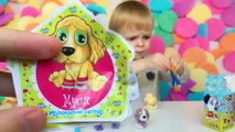 Коробочка сюрприз игрушки щенки распаковка Sweet Puppies toys