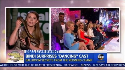 Bindi Irwin - Dancing With The Stars Cast Reveal
