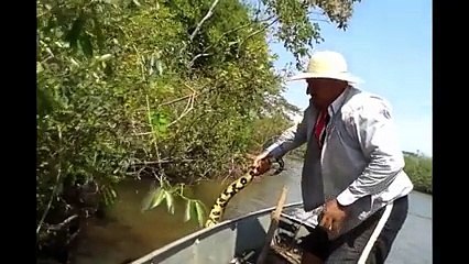 Brezilya'da Dev Anakonda Görüntülendi Yok Böyle Bir Şey