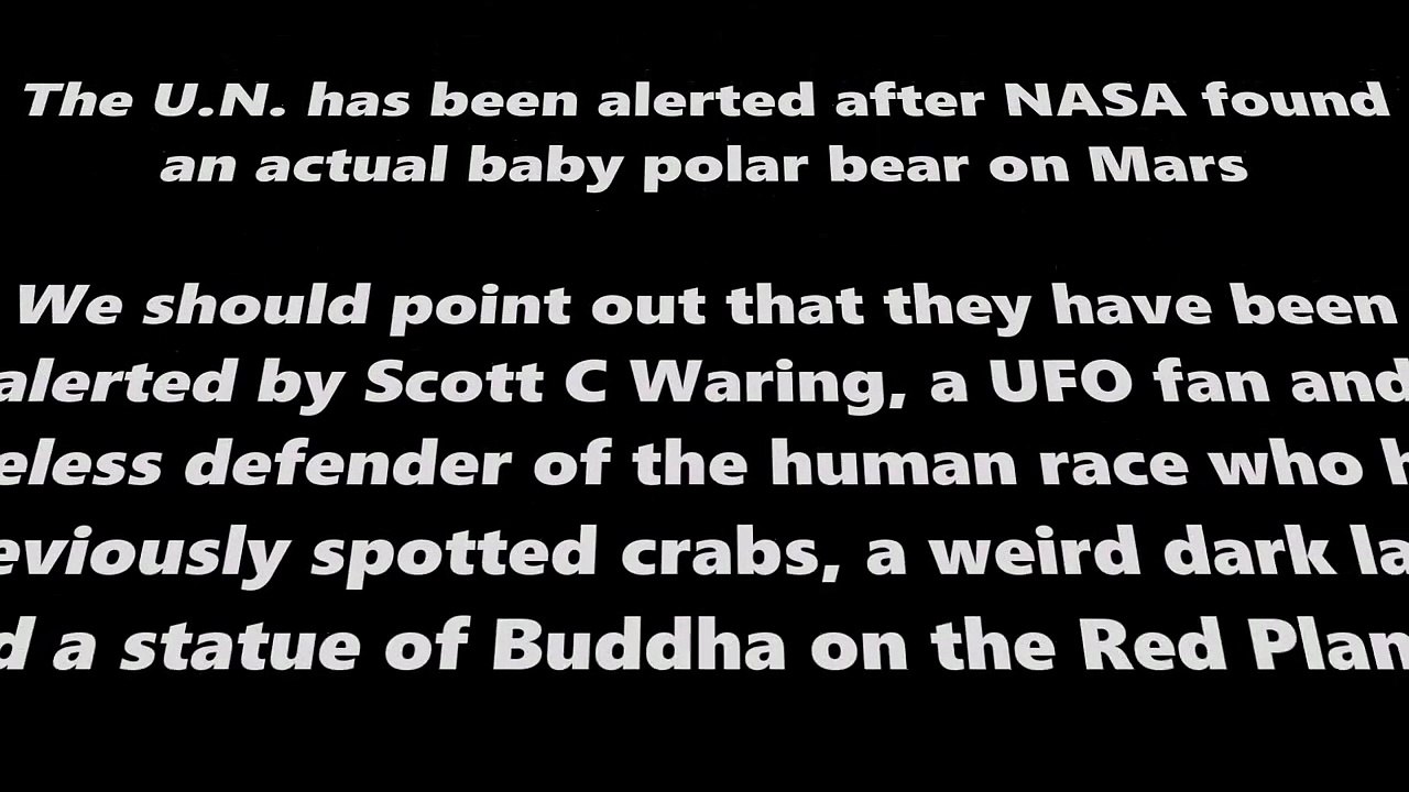 Polar bear on Mars?