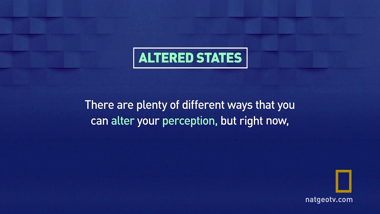 Altered States  Brain Games