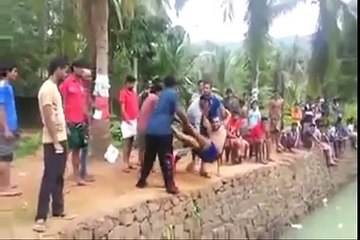 INDIAN FUNNY ACCIDENTS COMPILATION  FUNNY VIDEOS