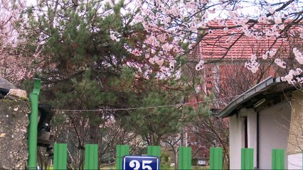 "Titaniku", Aksion policor i Speciales në Batincë