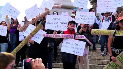 Days of Revolt: The New Mexican Revolution