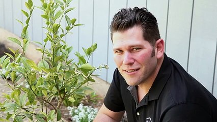 How To Make Your Own Self Watering