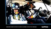 Sébastien Ogier évite de justesse une collision avec un troupeau de vaches (vidéo)