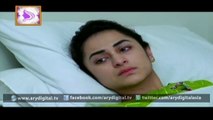 Guzarish Episode 17 Full 8 March 2016 On ARY Digital