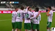 St. Gallen 2-0 Grasshopper - All Goals - Swiss Super League 07 -03-16