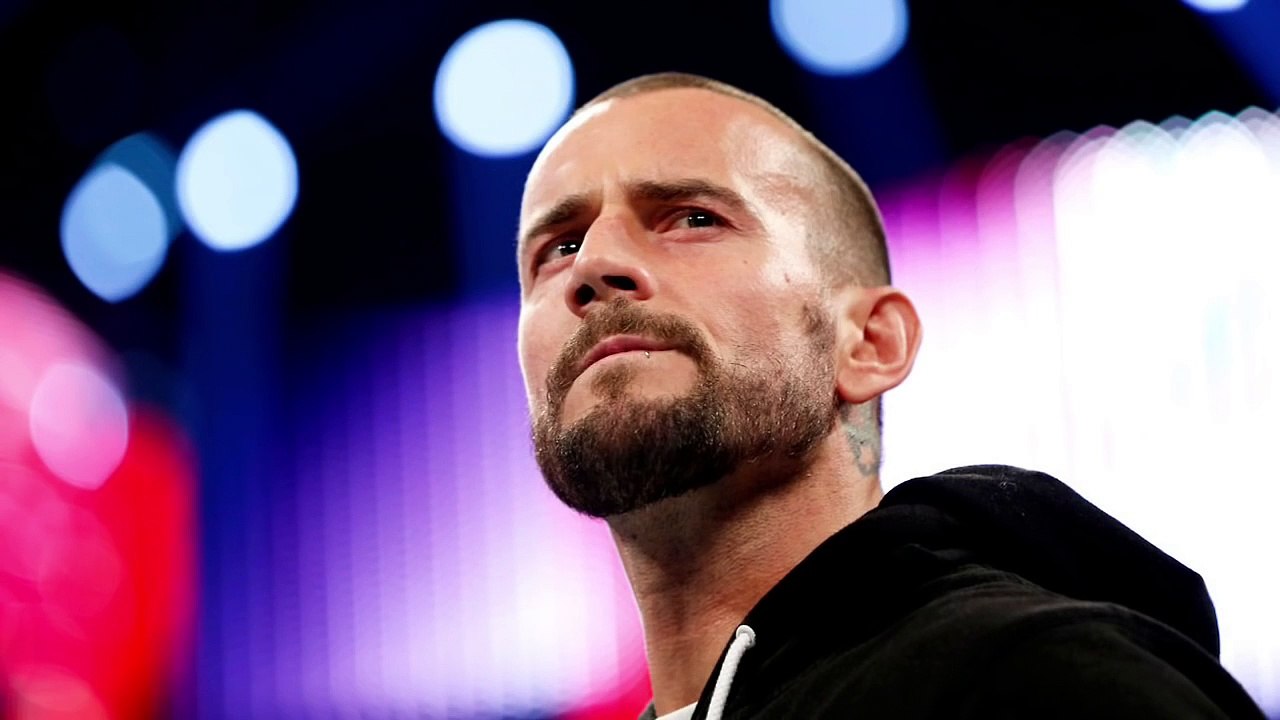 WWE News CM Punk Reacts To AJ Lee Leaving WWE!