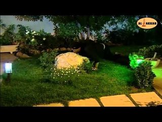 مسلسل عربيات - اللص الشريف |  Arabiyat