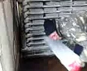 Шоковая заморозка фруктов, мяса, рыбы на територи заказчика