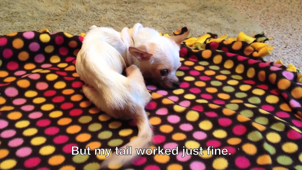 p'tit père tu reviens de loin trop mignon