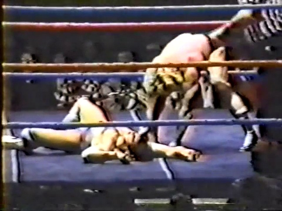 Rick Martel vs Nick Bockwinkel (1984)