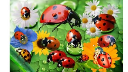 Агния Барто стихи для самых маленьких