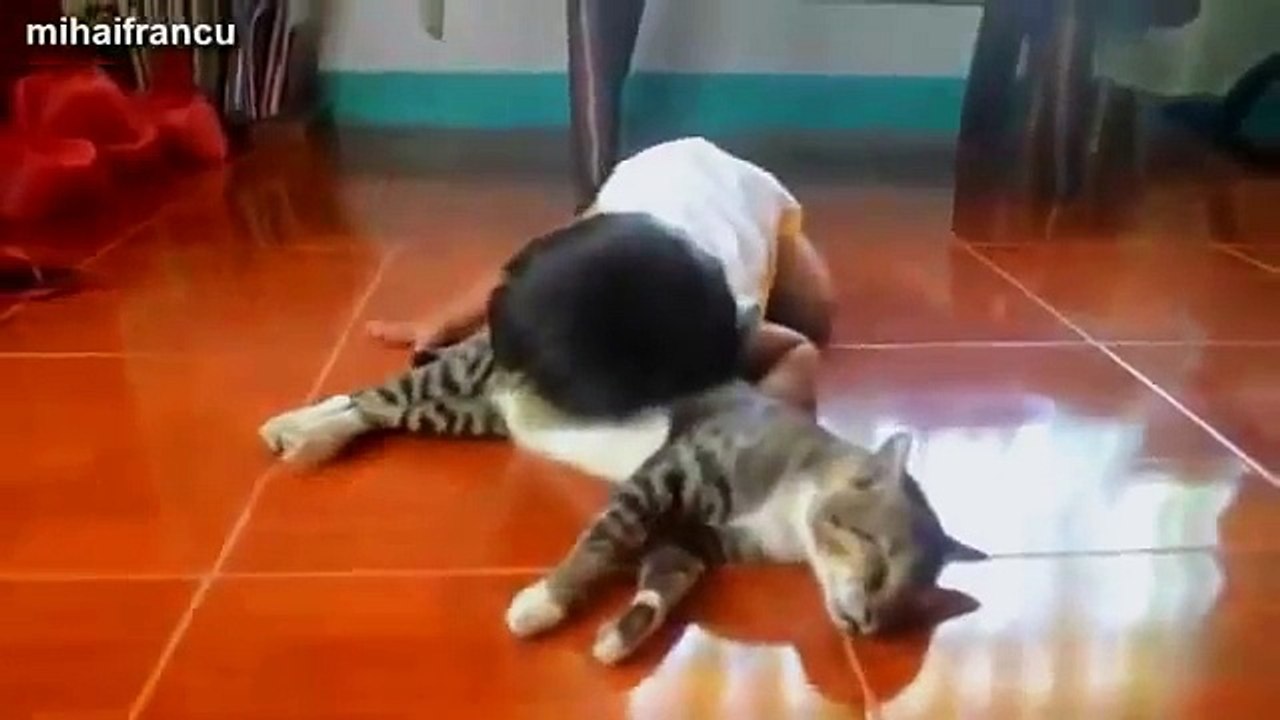 [Make Smile] BABY AND PET CAT
