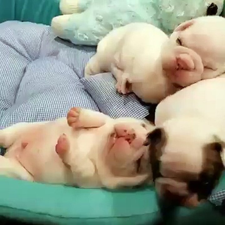 Oh look, three children understand sleep there...!!