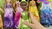 The Princess and the Frog - Hasbro - Disney Princess - Royal Shimmer Tiana Doll / Tiana - B5823