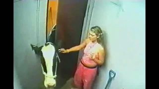 OMG!!! Angry Cow will not spare the Girl