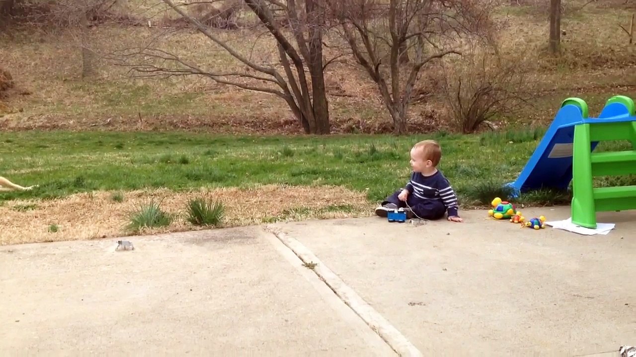 Baby Laughs Hysterically at Dog Rolling Over Jokeroo