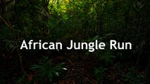 African Jungle Run - Neon Records
