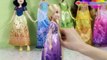 Tangled / Zaplątani - Hasbro - Disney Princess - Royal Shimmer Rapunzel Doll / Roszpunka - B5286 - Recenzja