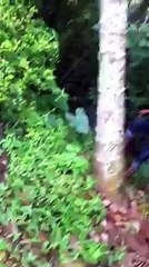 kid Climbing Tree Without support Funny Video