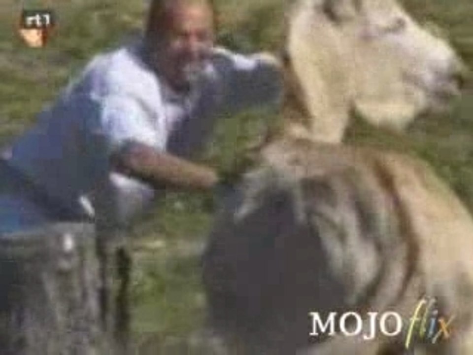 MojoFlix_Donkey-Rape-1