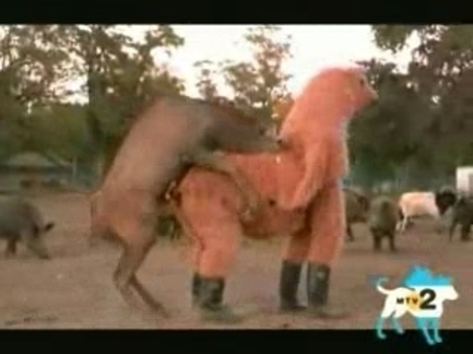 MojoFlix_Horny-Elk